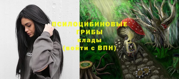 кокаин Алексеевка