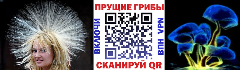 Галлюциногенные грибы Psilocybe  Арск 
